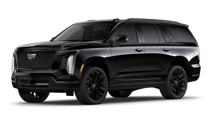 PREMIUM DETAILING